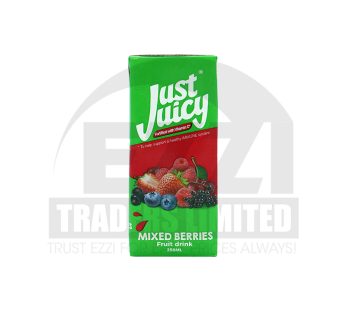 Just Juicy Berries 250ML – 24 Packs