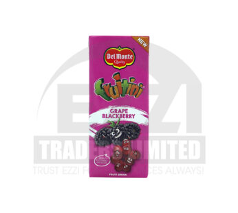 Fruitini Grape N B/Berry 250ML – 24Packs